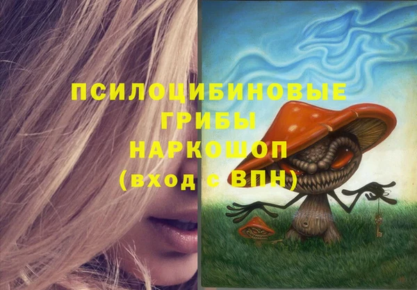 наркотики Медвежьегорск