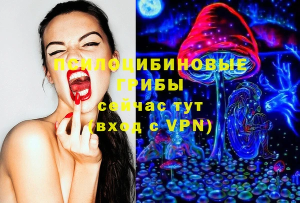 амф Мегион
