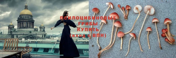 наркотики Медвежьегорск